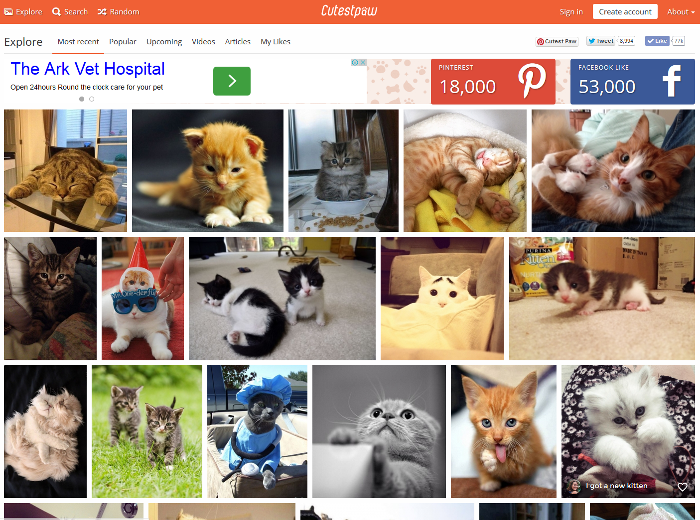 Cutest Paw gallery image