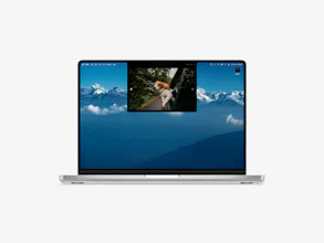 Notcha gallery image