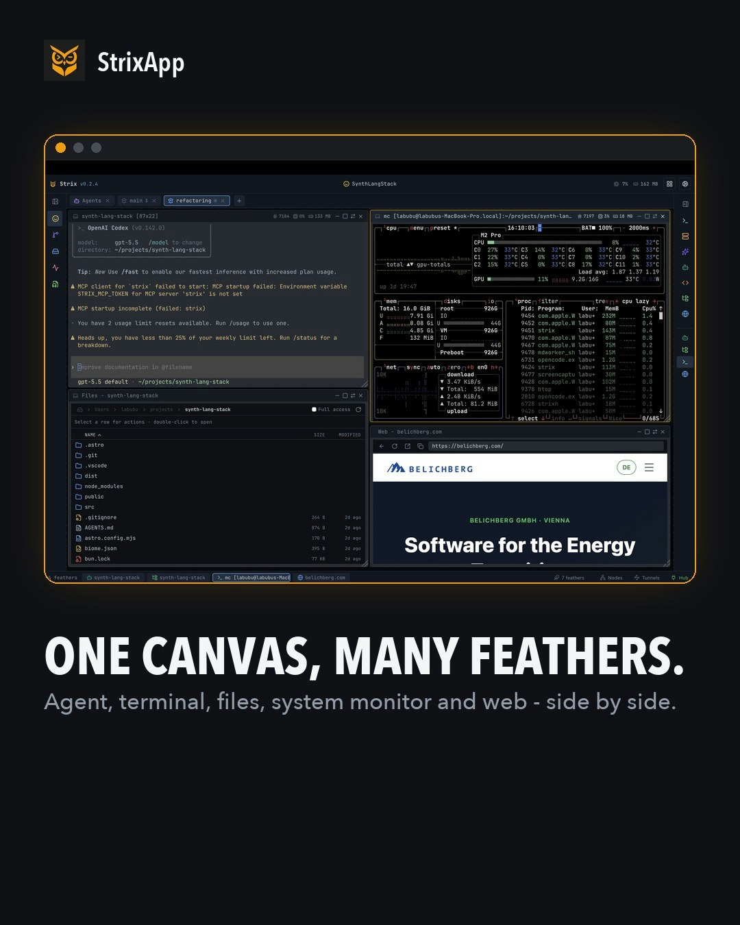 StrixApp gallery image