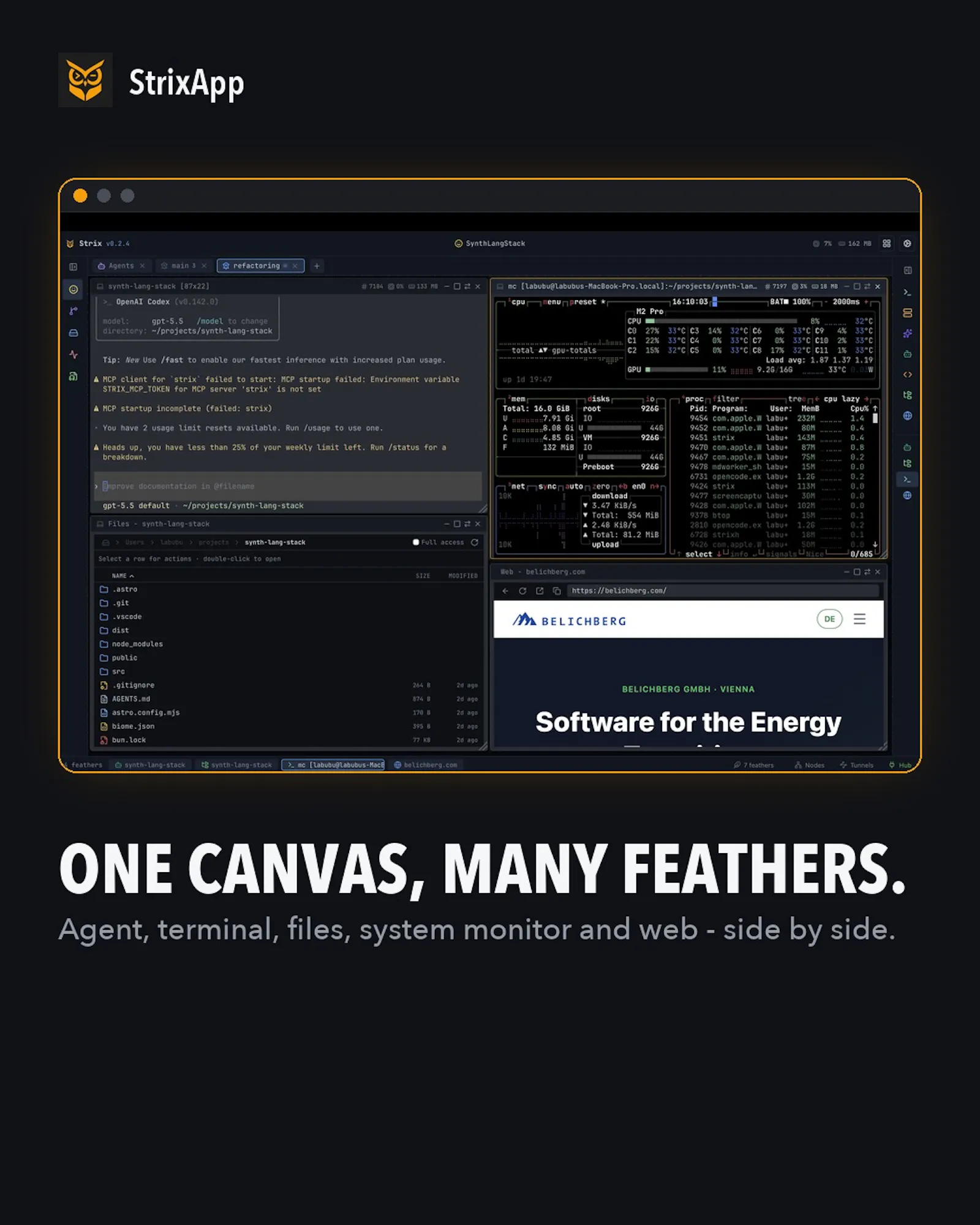 StrixApp screenshot 9