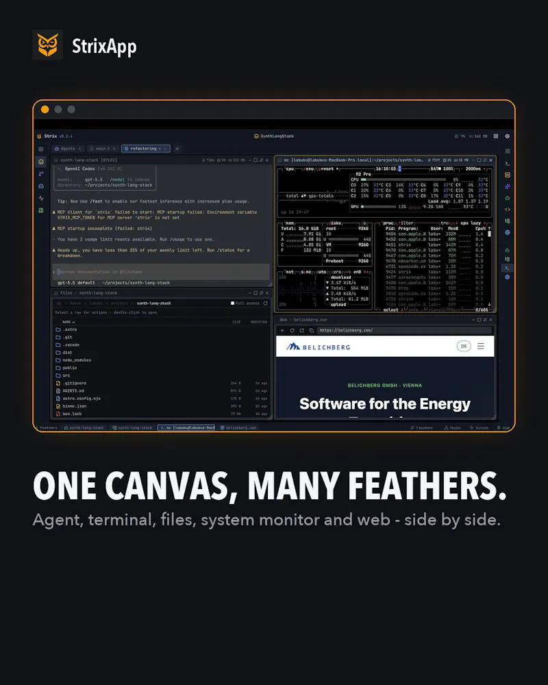 StrixApp screenshot 9