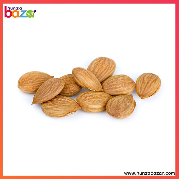 Buy Online Hunza Apricot kernel