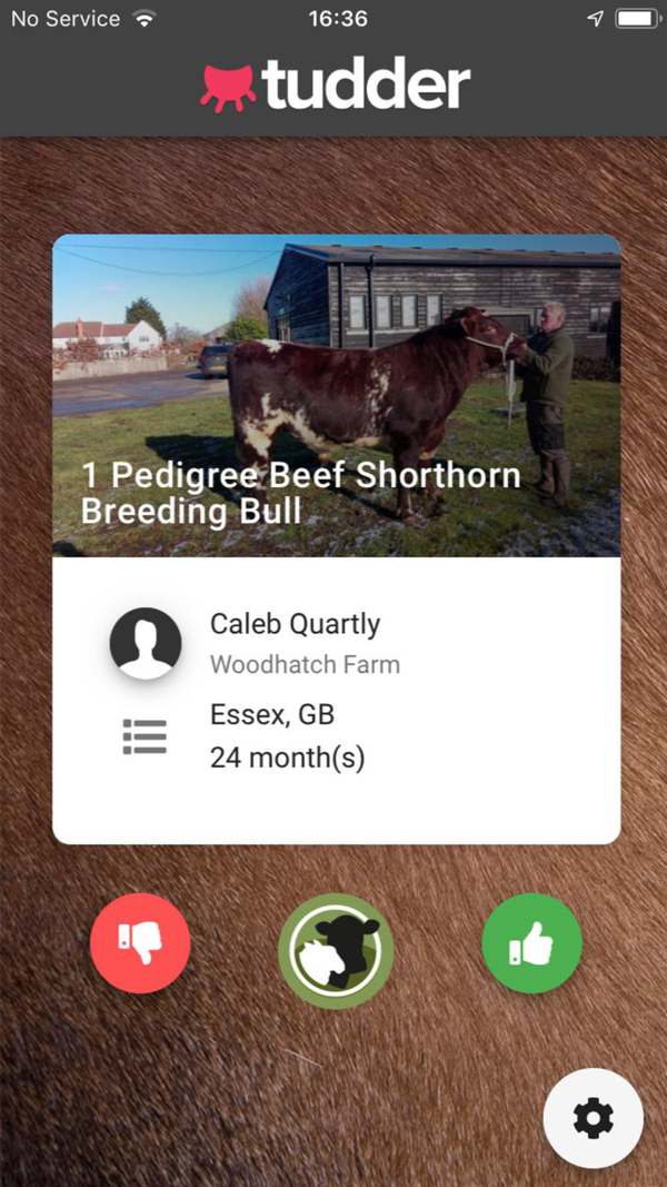 Tudder gallery image