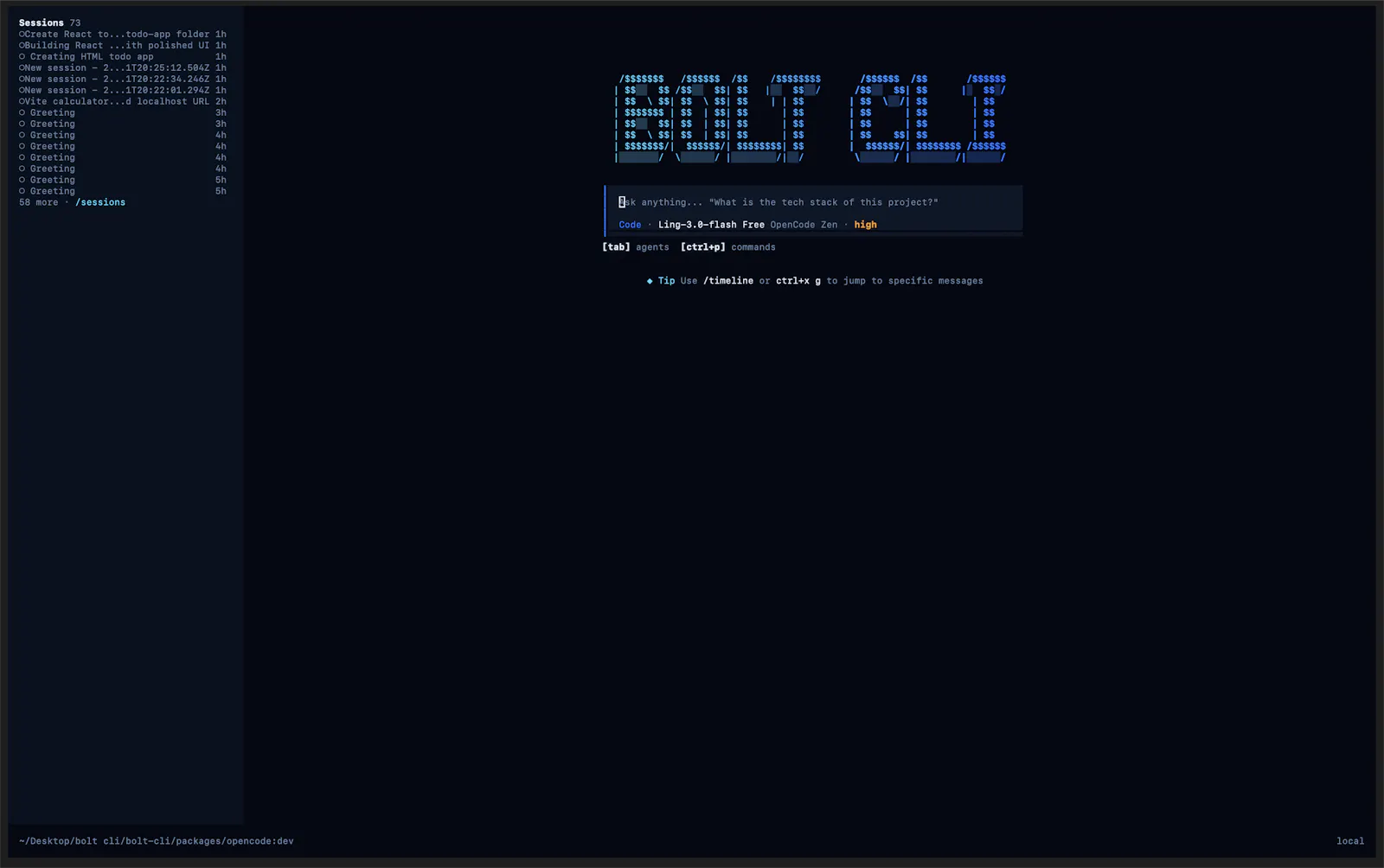 Bolt cli screenshot 3