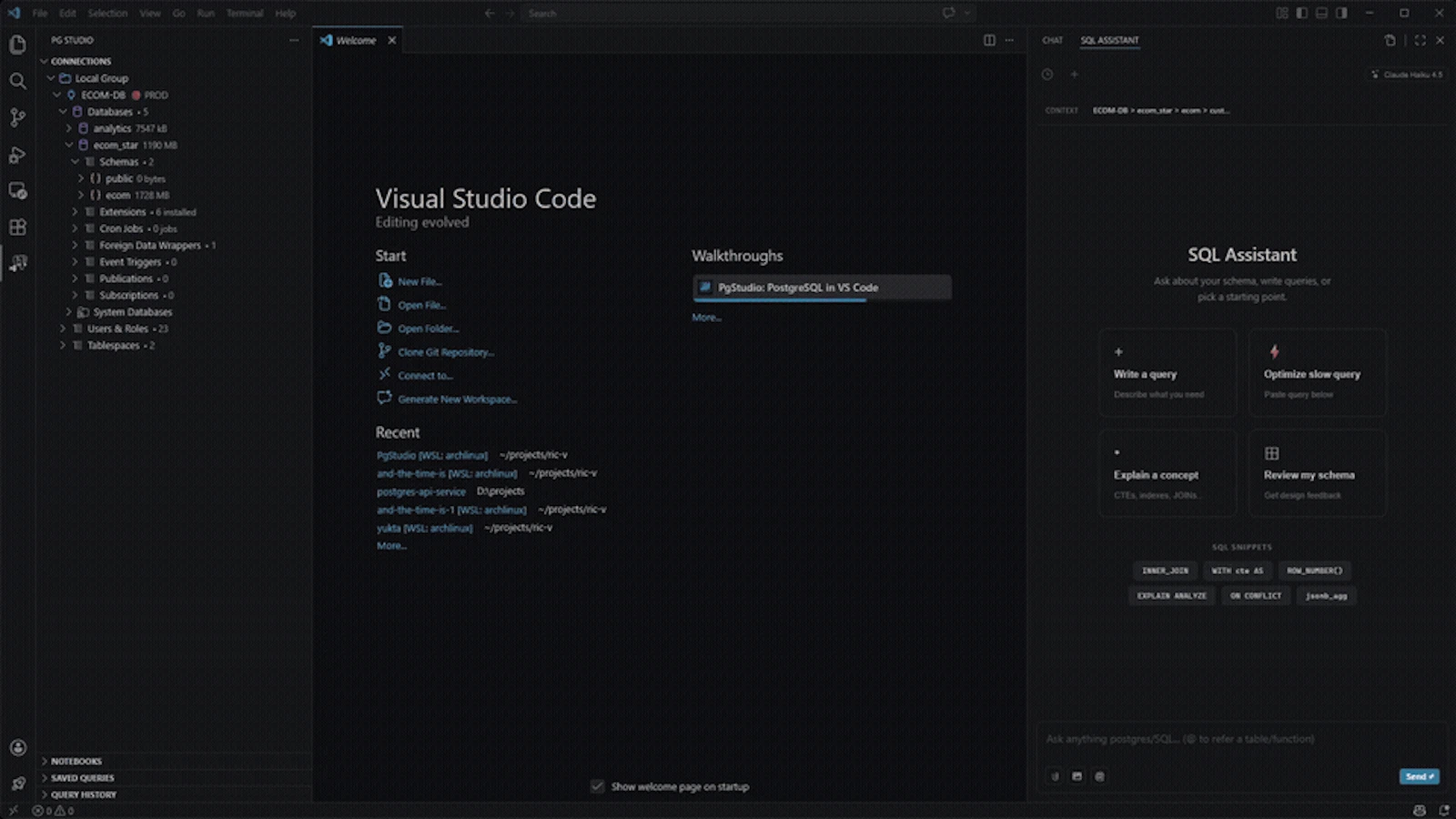 PgStudio screenshot 3