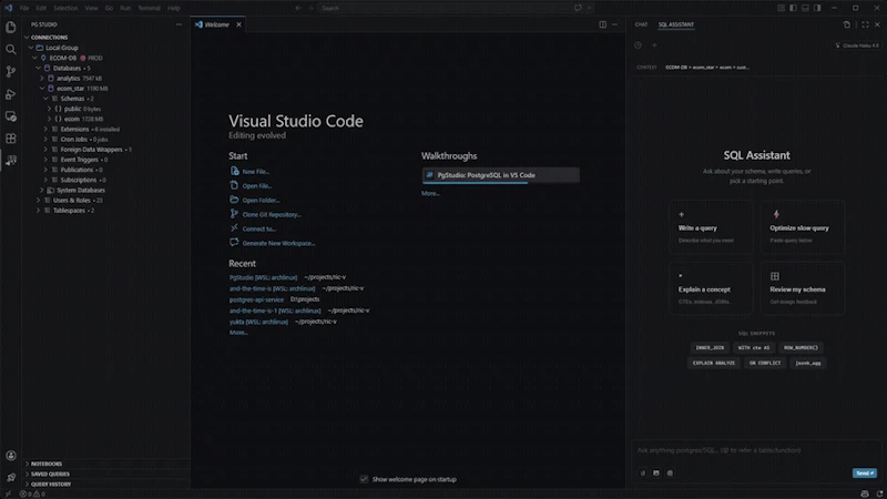 PgStudio screenshot 3