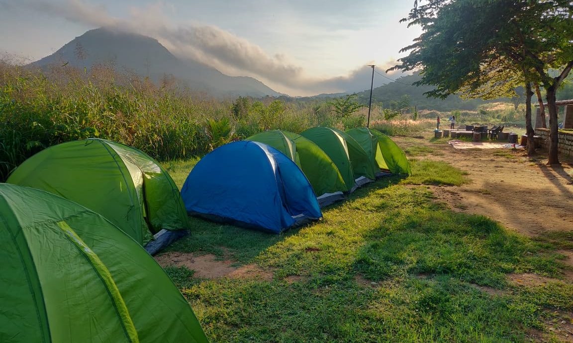 Camping  gallery image