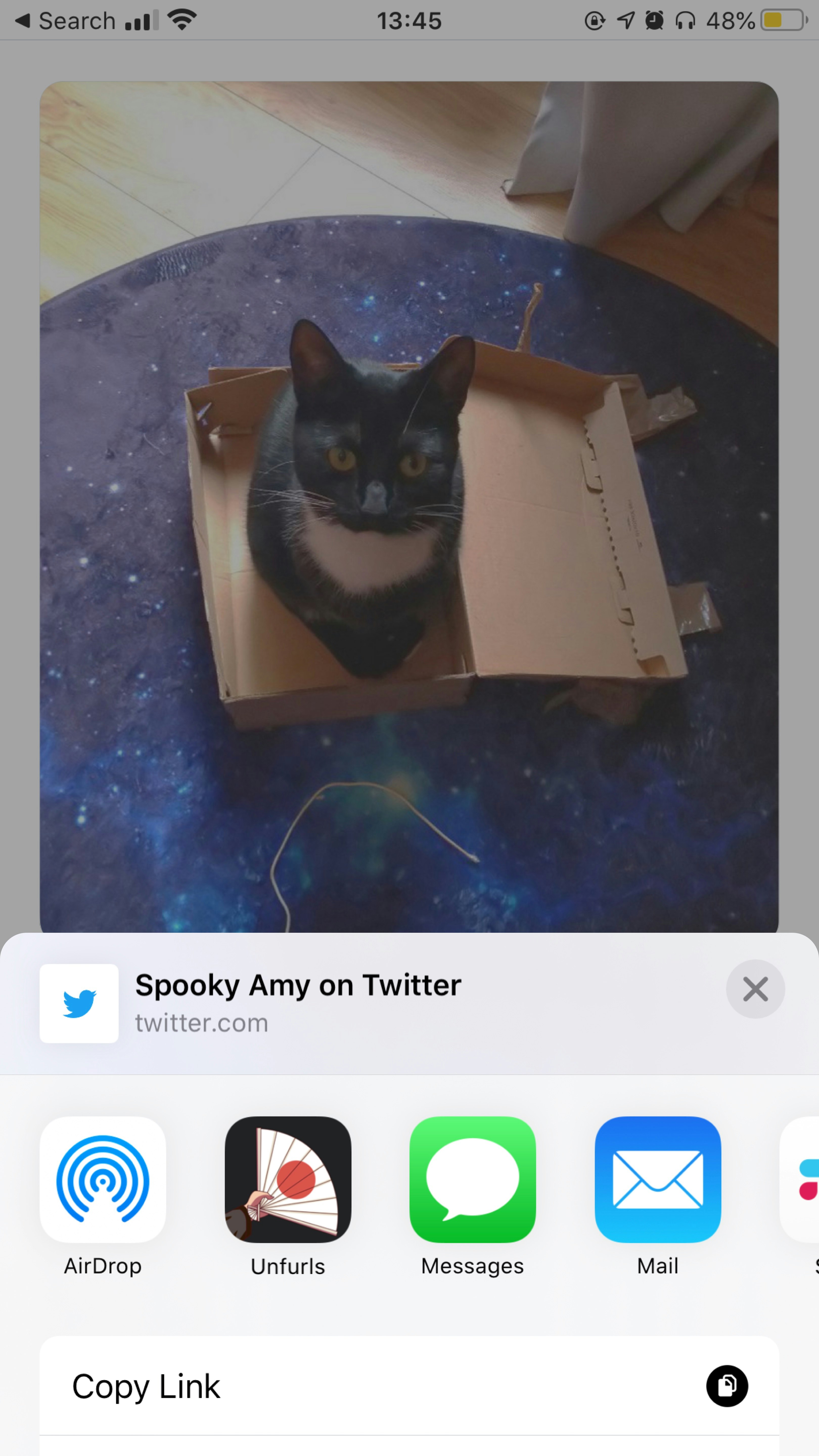 Unfurls for Social Stories gallery image