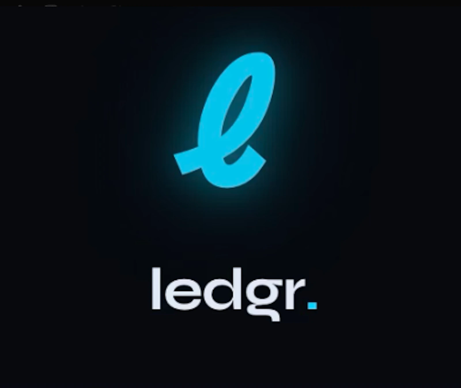 Ledgr screenshot 4