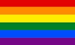 Polymorphic Pride Flags image