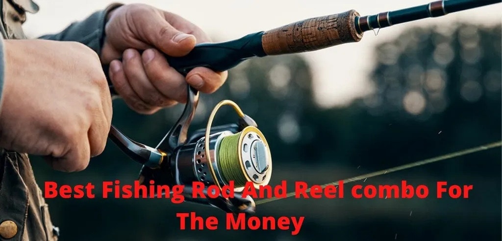 Rod Memancing Terbaik dan Reel Combo