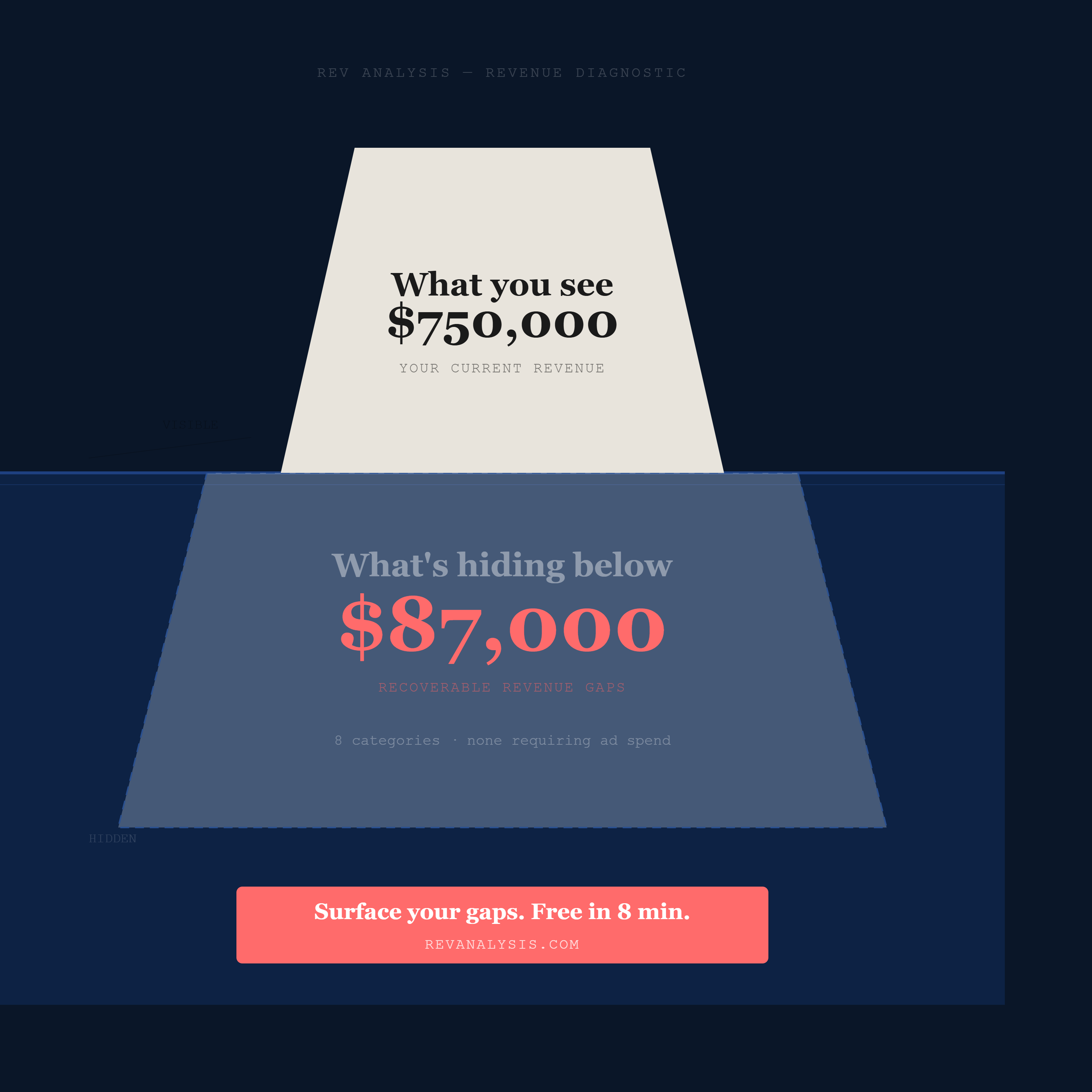 RevAnalysis Business Revenue Diagnostic gallery image