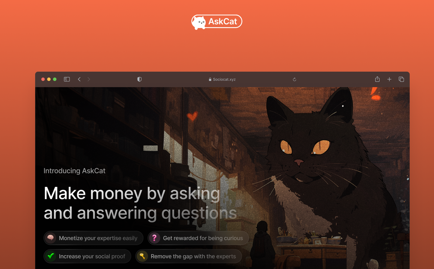 Askcat - Rimuovi il divario con Expert! media 2
