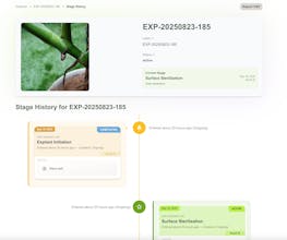 Shmaplex Plant gallery image