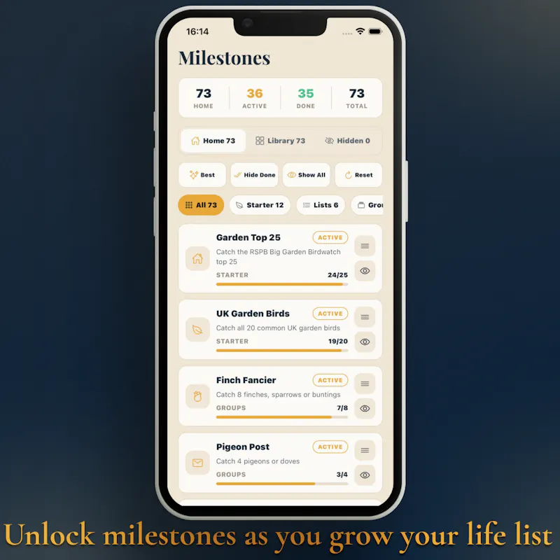 Lifer screenshot 7