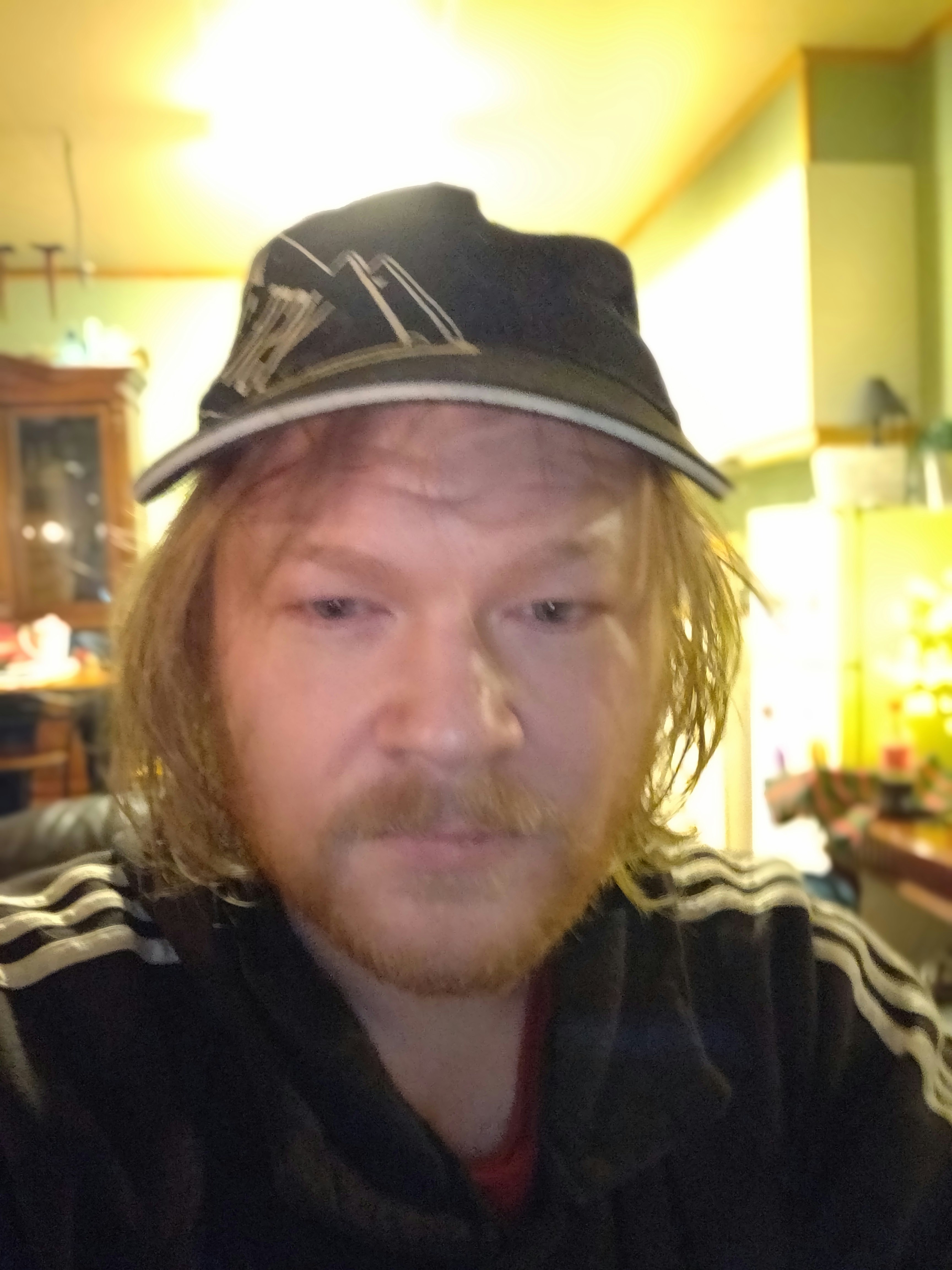 Perch Live gallery image