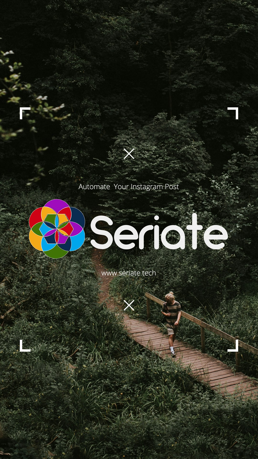 Seriate gallery image