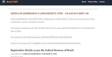 Brazil CNPJ Lookup gallery image