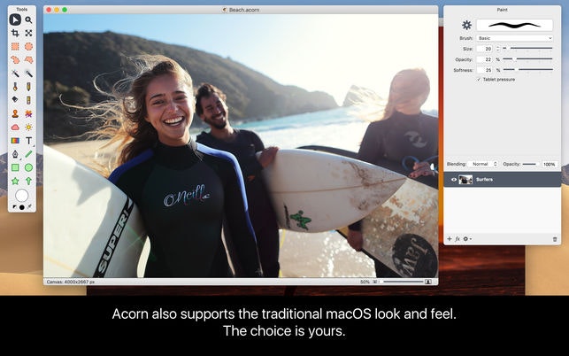 Acorn 6 Image Editor gallery image