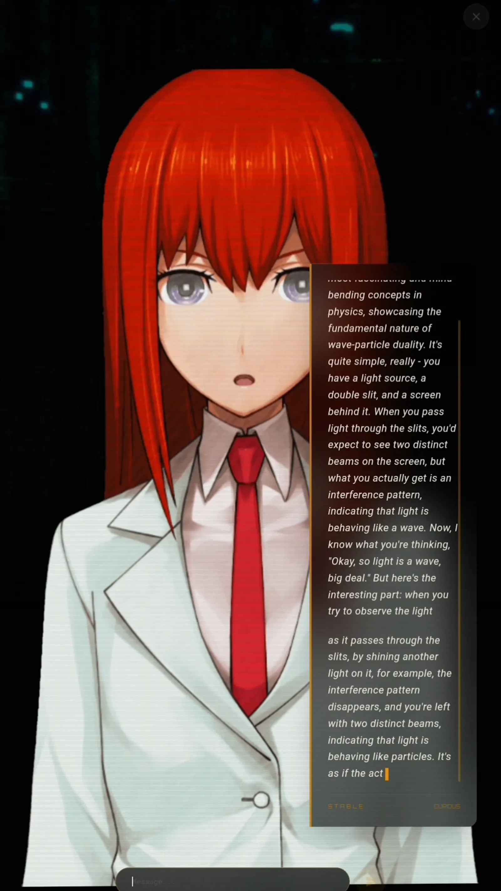 Amadeus system  screenshot 2