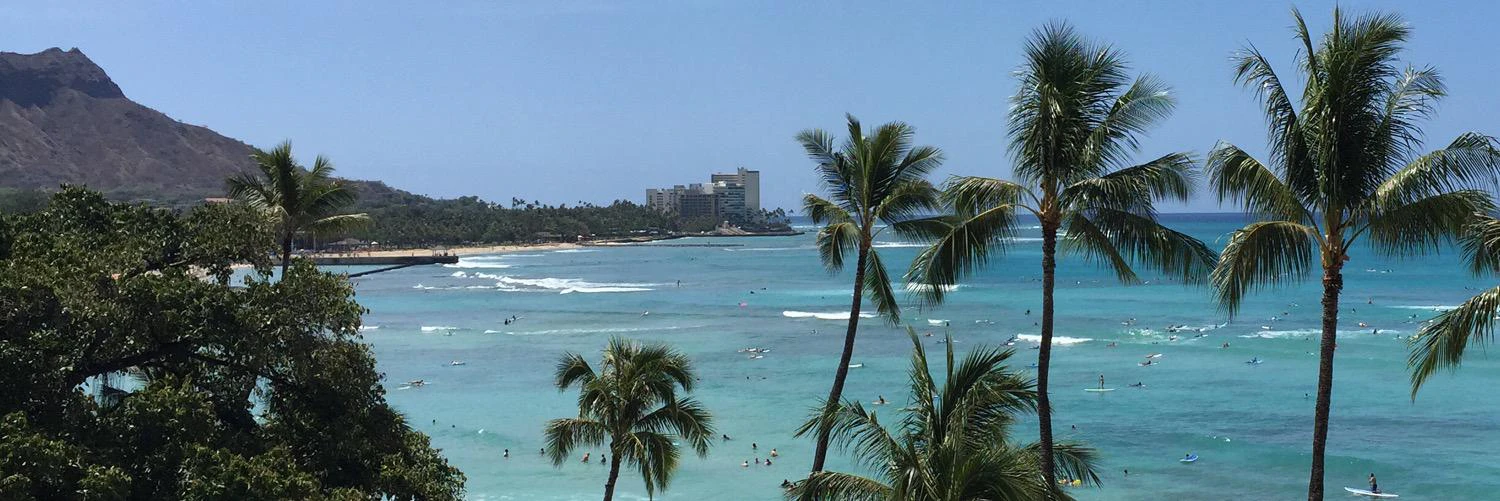 Jordan Metzner cover