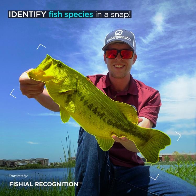 Media Fishangler - Aplikasi Memancing - Cari tempat memancing, dapatkan masa ikan & tangkapan log w/ ai 2