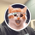 FaceReplaced