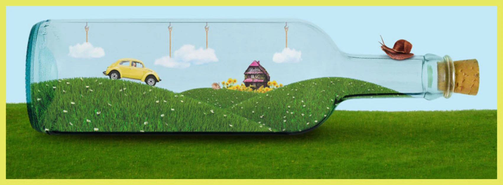 Virginia Barnett cover