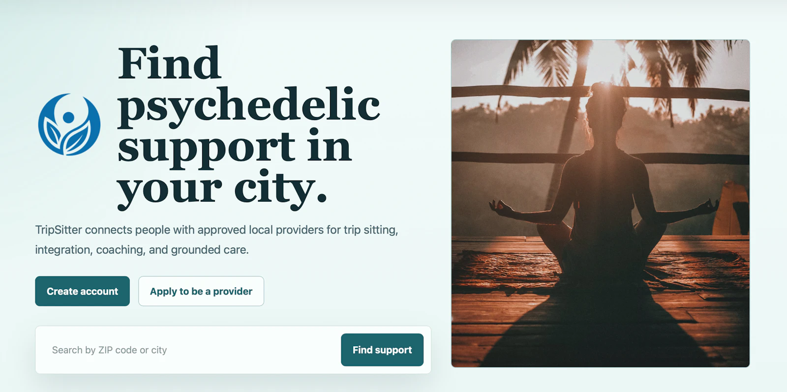 TripSitter screenshot 1