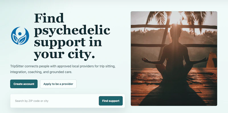 TripSitter screenshot 1