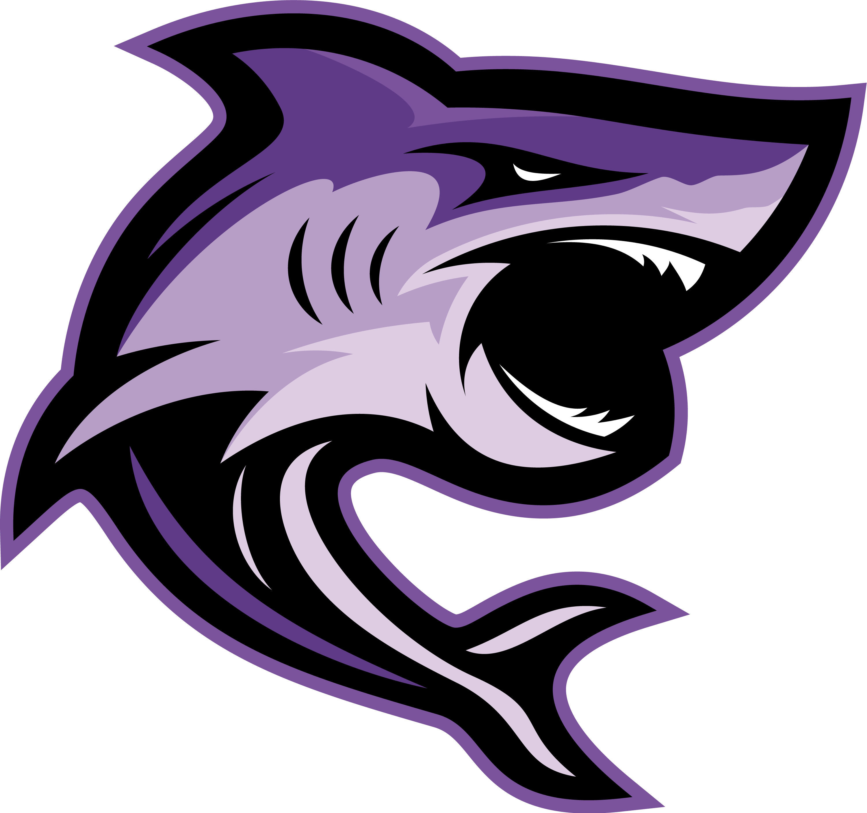 Nightshark | Algo-Trading Made Easy