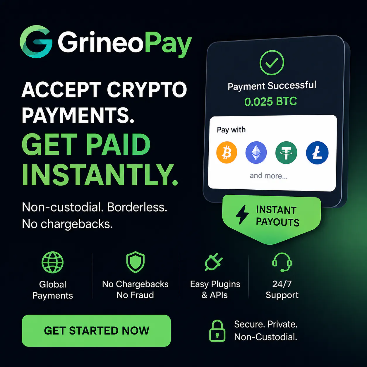 GrineoPay のプロダクトバナー