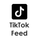 TikTok Feed - WordPress Plugin