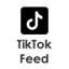 TikTok Feed - WordPress Plugin