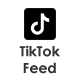 TikTok Feed - WordPress Plugin