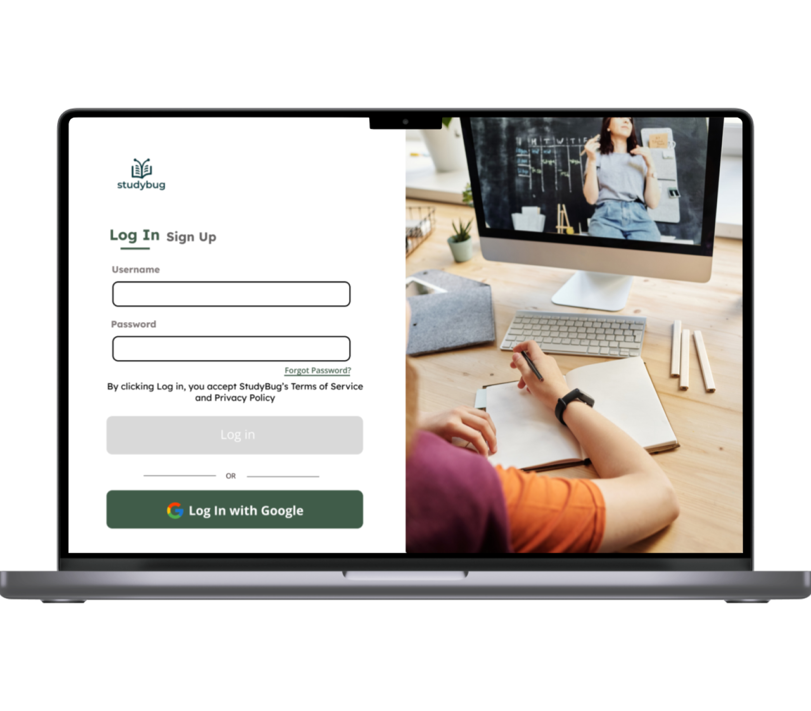 StudyBug gallery image