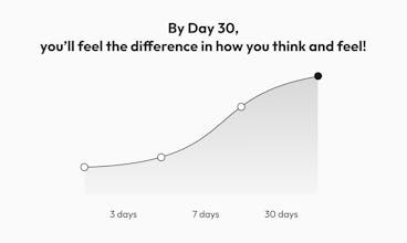 Friday gallery image