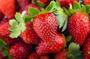 Albion Strawberry Plants For Sale gallery image