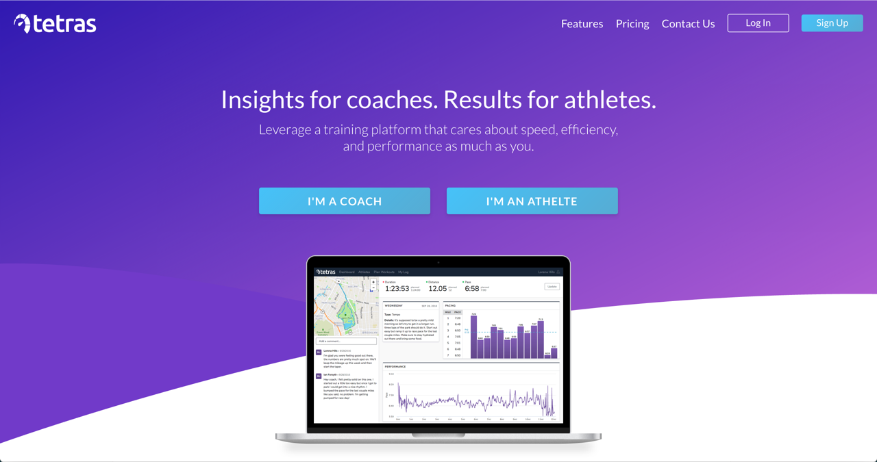 Tetras gallery image