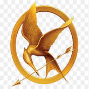 Hunger Games Simulat... logo