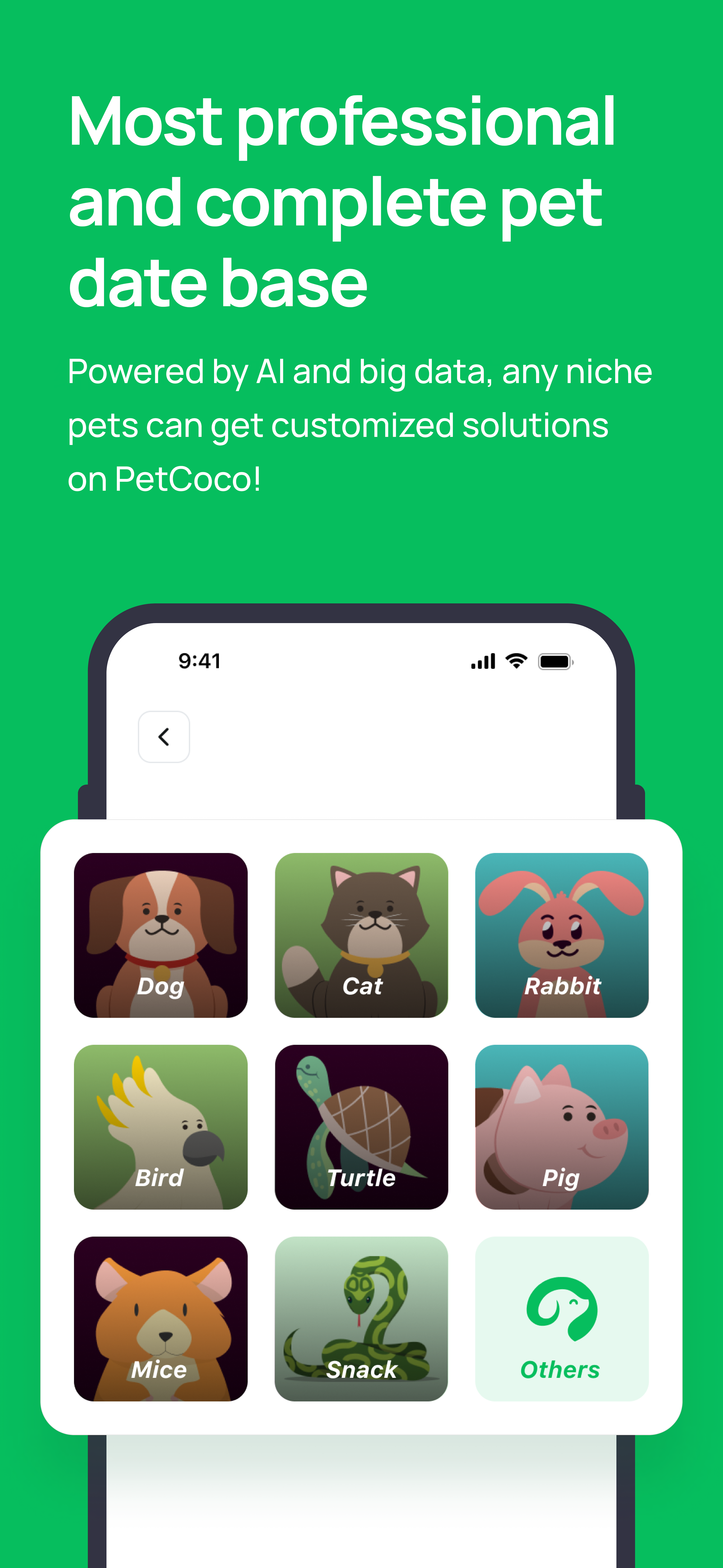 Média Petcoco 4