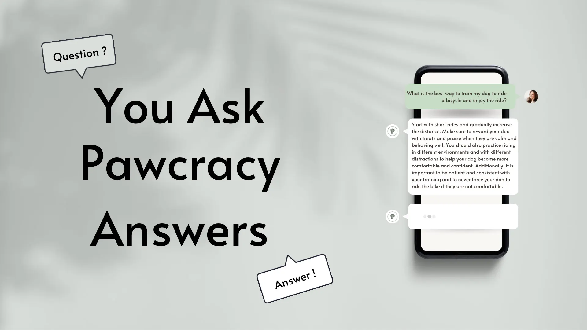 Pawcracy gallery image