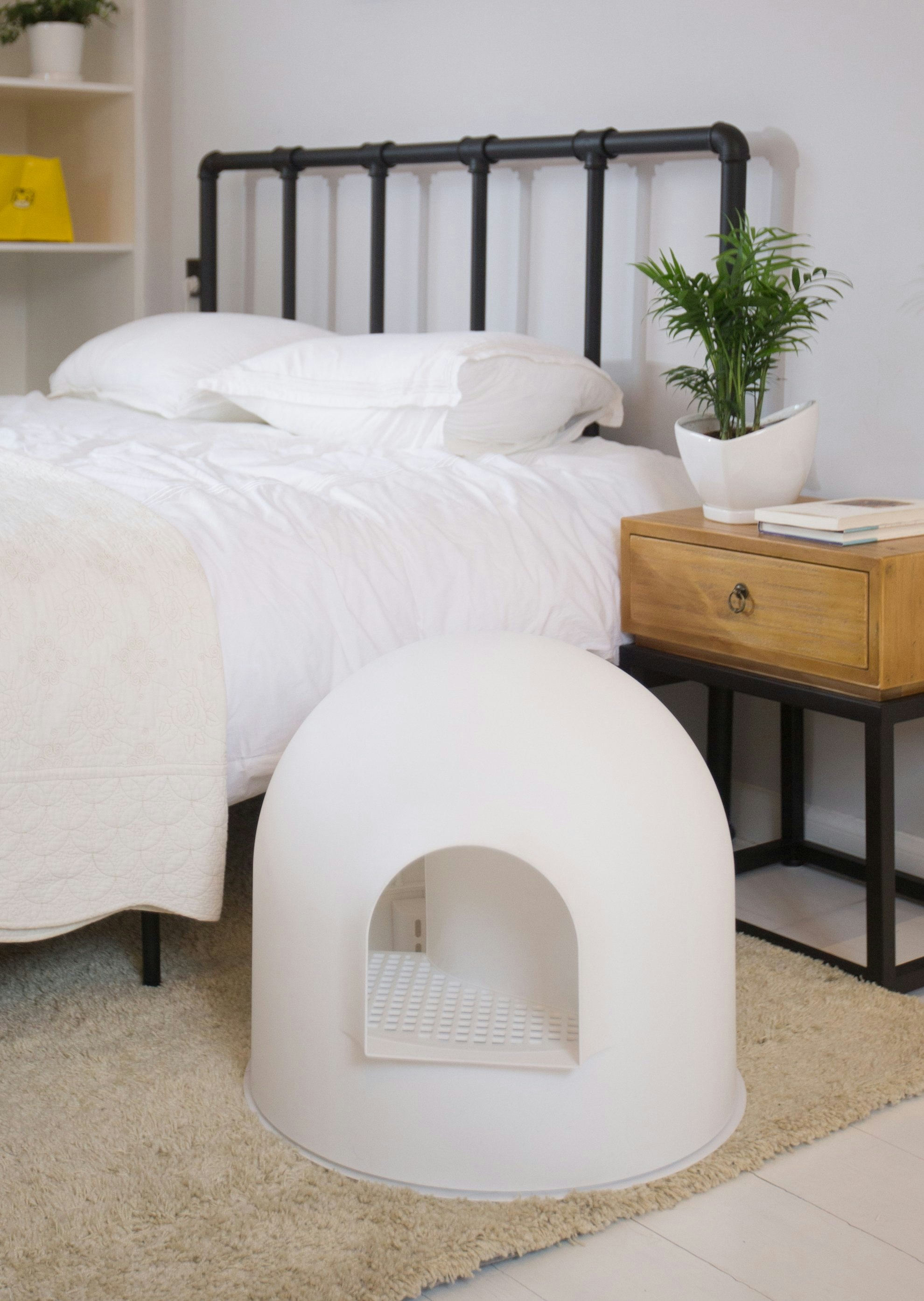 Want an invisible litter box? - try this! pidan igloo litter box gallery image