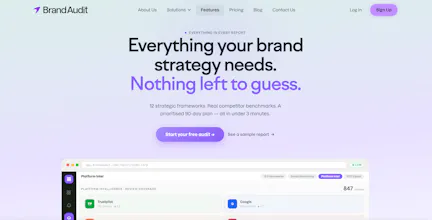 Brand Audit gallery image