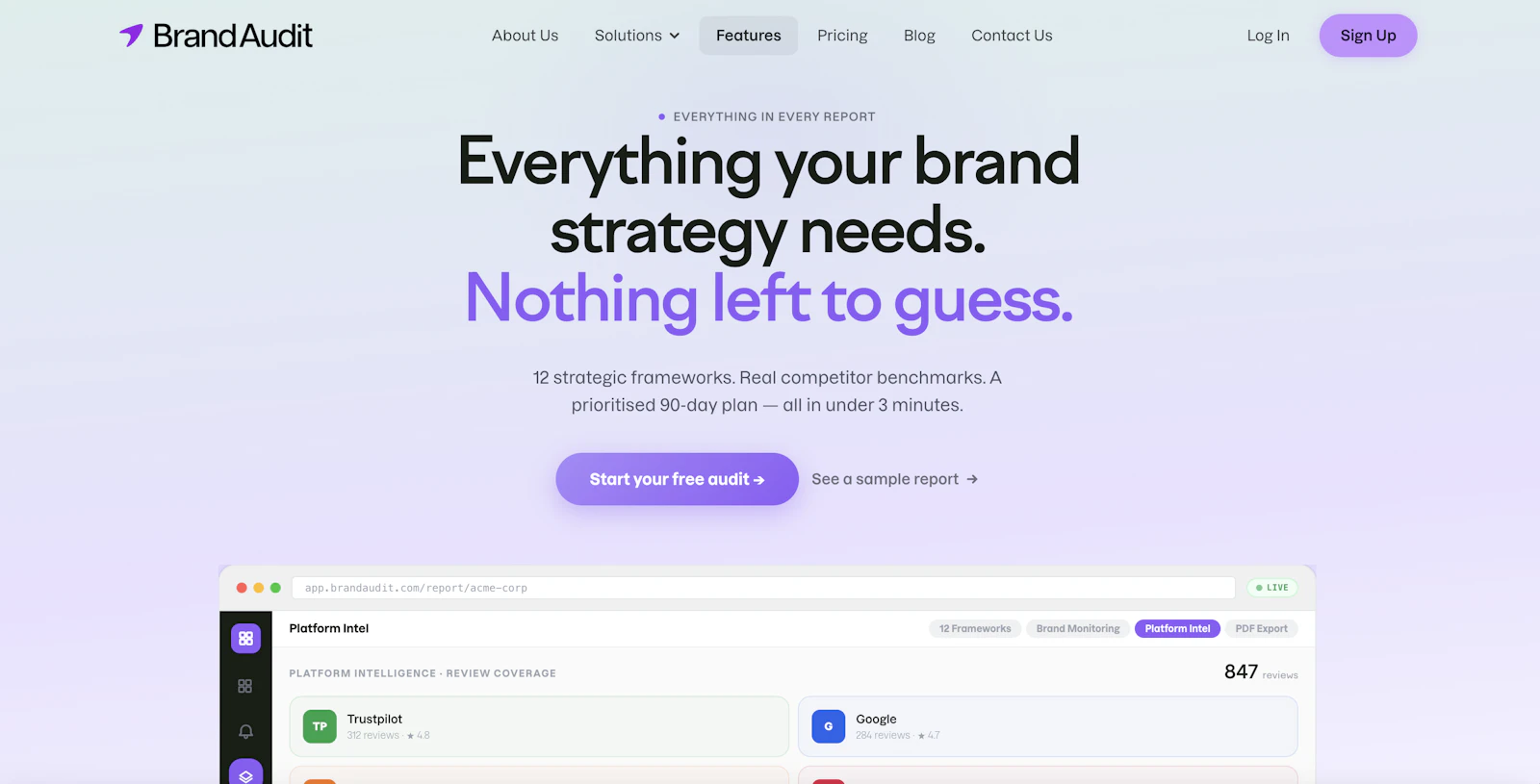 Brand Audit screenshot 2
