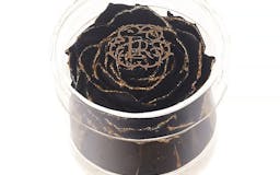 Round Acrylic Box by Eternal Roses media 2