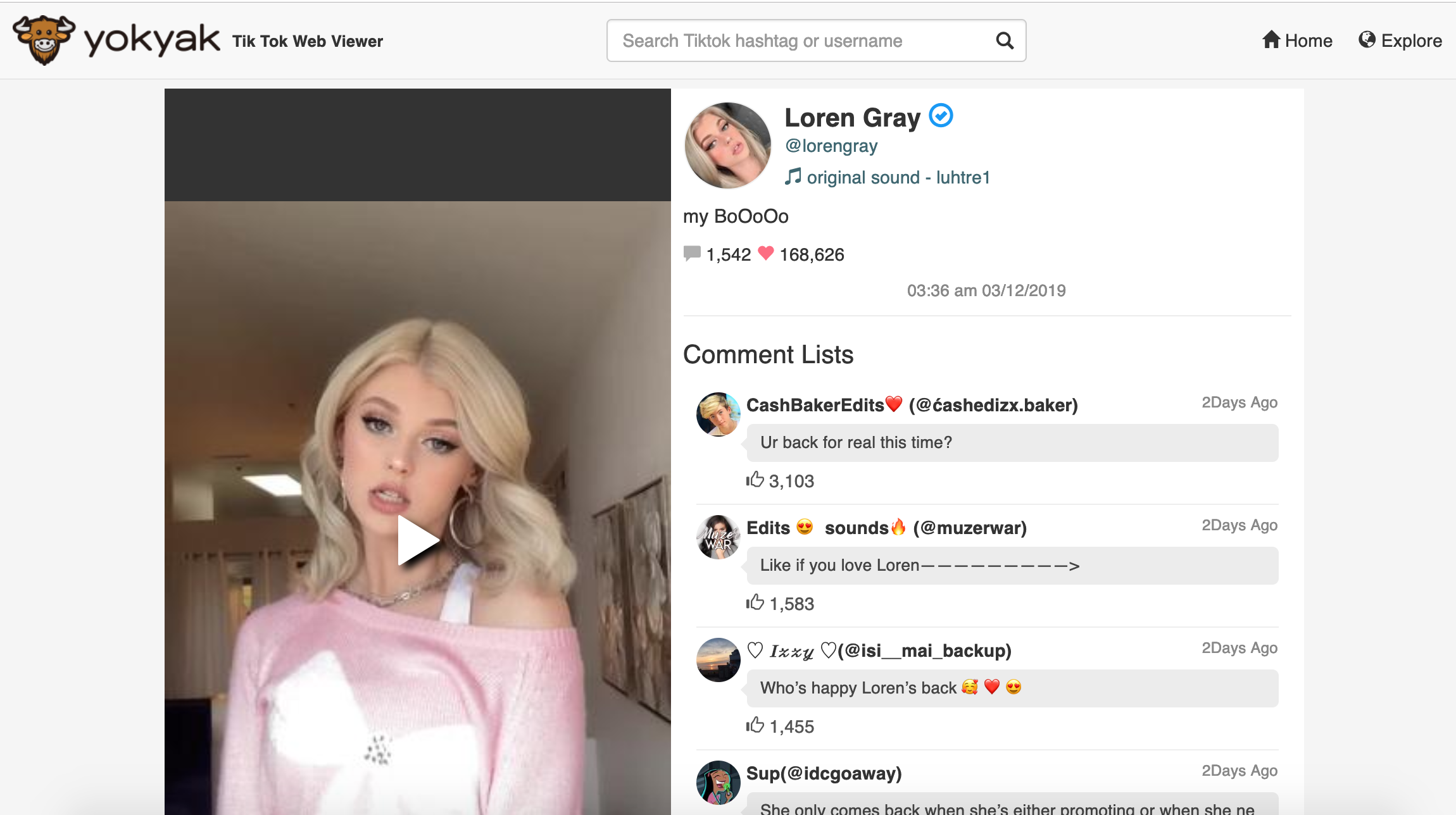 YokYak - Tiktok Web Viewer gallery image