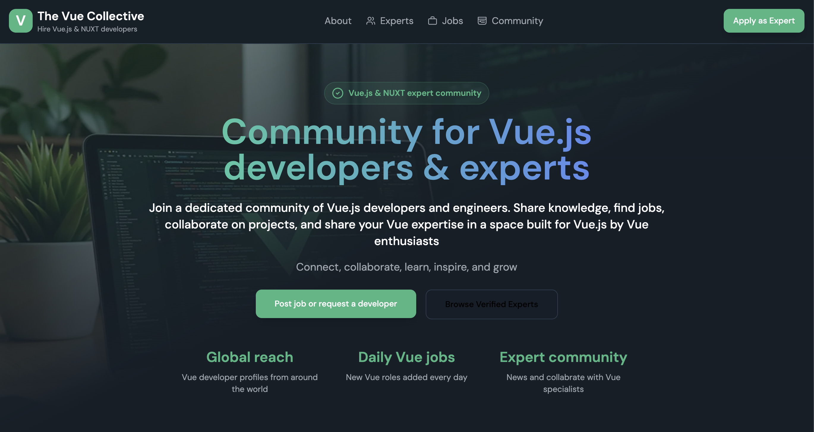 Vue.js Developer community  - Main product screenshot demonstrating key features and user interface
