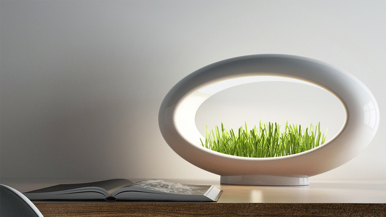 Grasslamp 