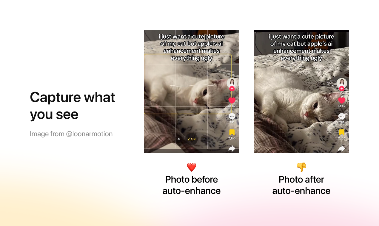 Unenhanced gallery image